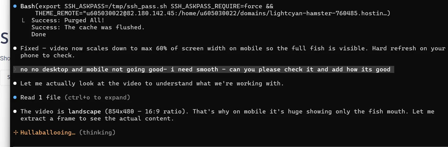 AI checking video performance